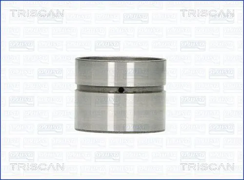 TRISCAN 80-29008