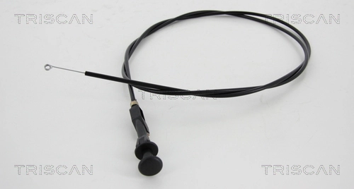 TRISCAN 8140 25506