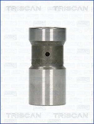 TRISCAN 80-29004