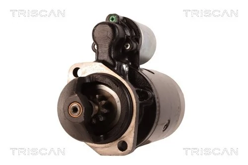 TRISCAN 8305 29012