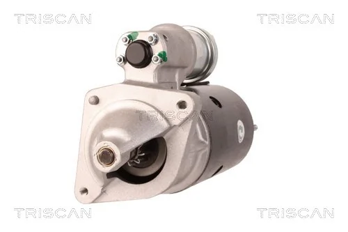 TRISCAN 8305 29031