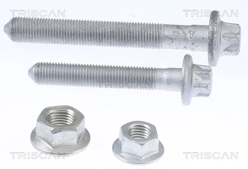 TRISCAN 8500 10403
