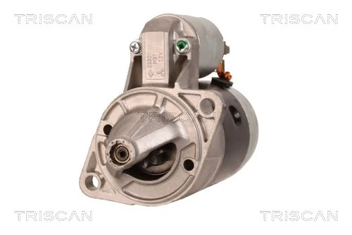 TRISCAN 8305 29002