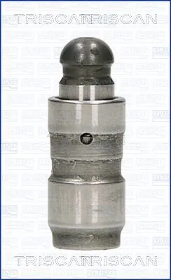 TRISCAN 80-29011