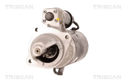 TRISCAN 8305 10013