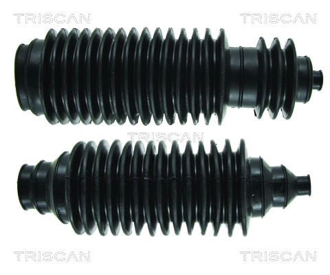 TRISCAN 8500 240