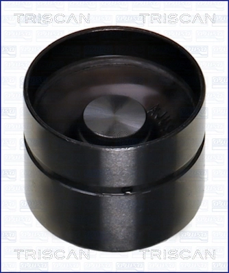 TRISCAN 80-17000