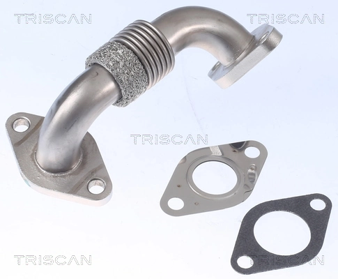 TRISCAN 8811 29102