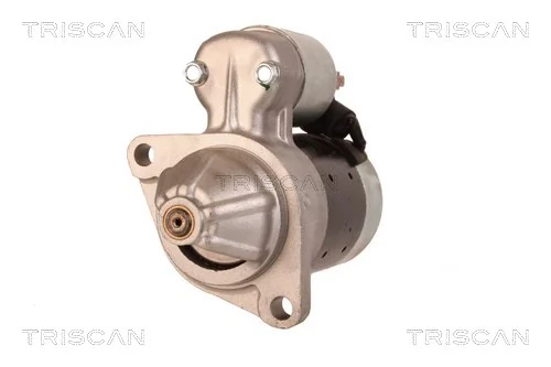 TRISCAN 8305 24002