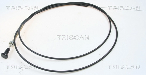 TRISCAN 8140 91003