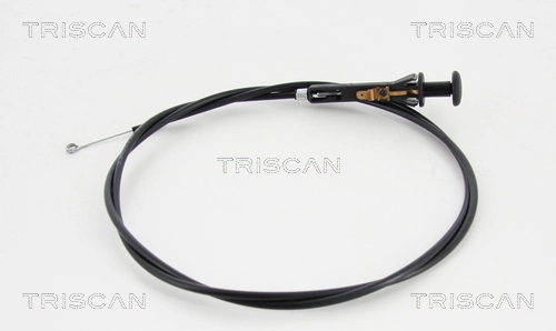 TRISCAN 8140 25503