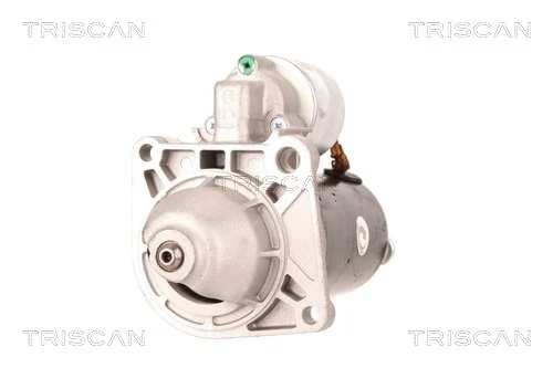 TRISCAN 8305 29067