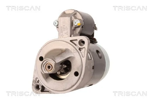 TRISCAN 8305 68003