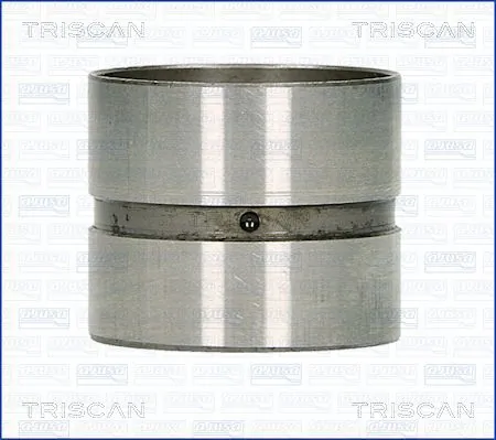 TRISCAN 80-70000