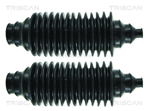 TRISCAN 8500 220