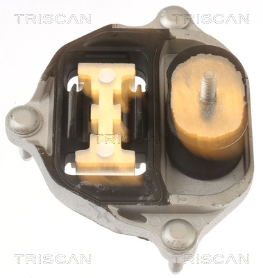 TRISCAN 8505 29218