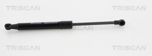 TRISCAN 8710 11123