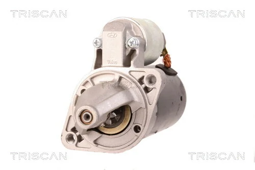TRISCAN 8305 24005