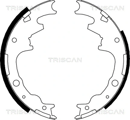 TRISCAN 8100 10015