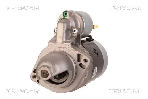 TRISCAN 8305 29043