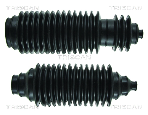 TRISCAN 8500 260