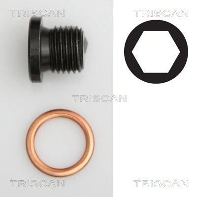 TRISCAN 9500 2906