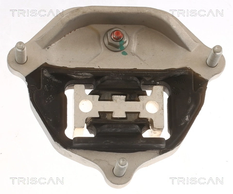 TRISCAN 8505 29216
