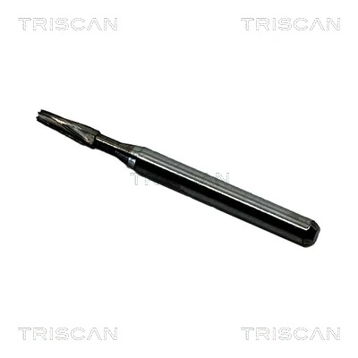 TRISCAN 910010C