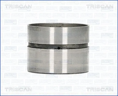TRISCAN 80-29010