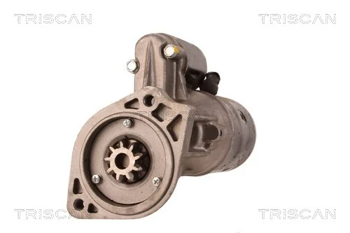 TRISCAN 8305 29005