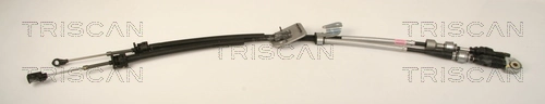 TRISCAN 8140 13702