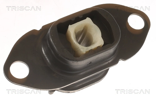 TRISCAN 8505 10125
