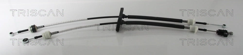 TRISCAN 8140 10722