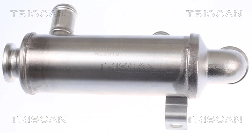 TRISCAN 8813 10111