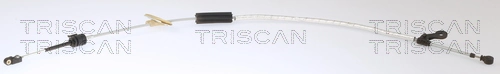 TRISCAN 8140 29736