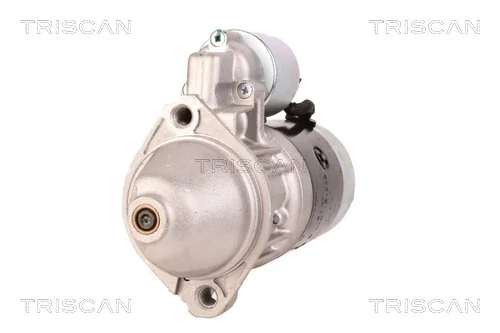 TRISCAN 8305 29053