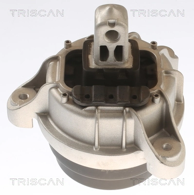 TRISCAN 8505 11117