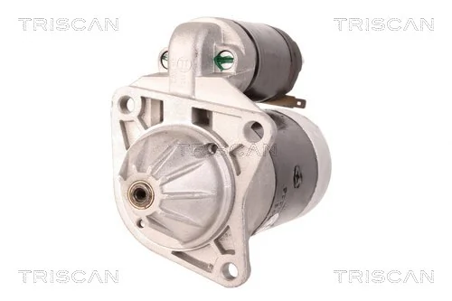 TRISCAN 8305 29070