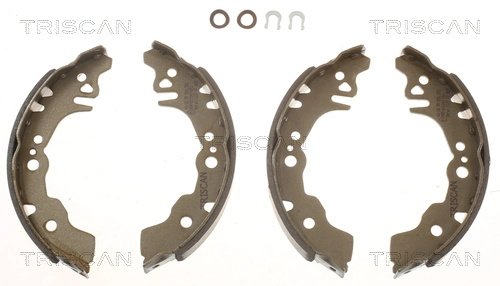 TRISCAN 8100 10027
