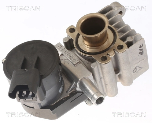 TRISCAN 8813 11011