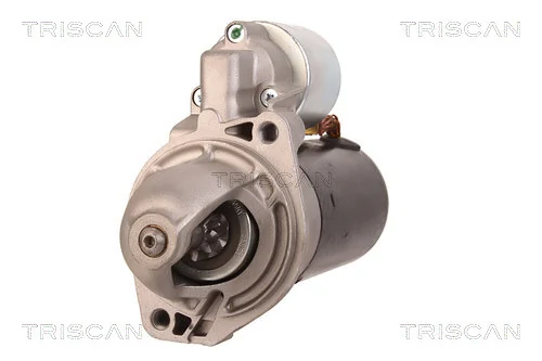 TRISCAN 8305 29054