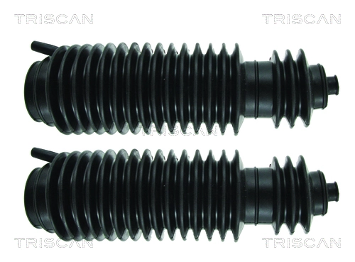 TRISCAN 8500 210P