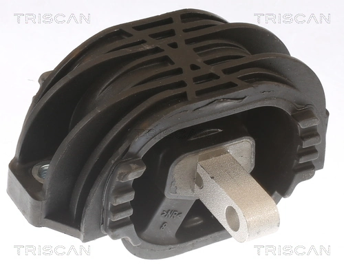 TRISCAN 8505 11207