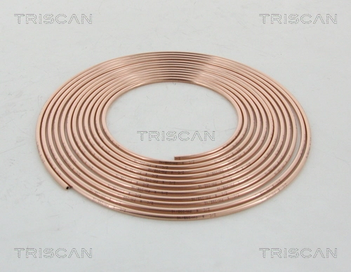 TRISCAN 8105 5001