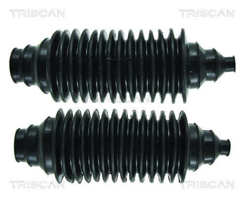 TRISCAN 8500 250