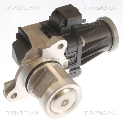 TRISCAN 8813 10053
