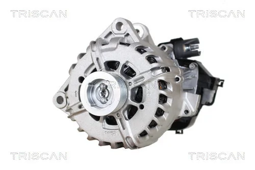 TRISCAN 8305 10002