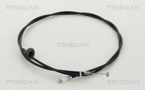 TRISCAN 8140 21601