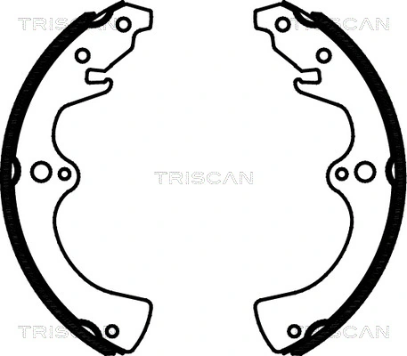 TRISCAN 8100 10036