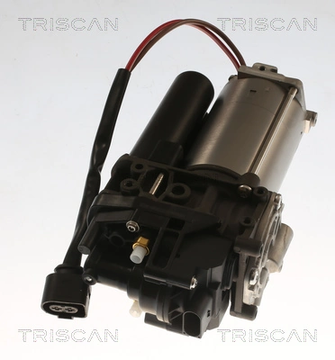 TRISCAN 8725 29104